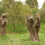 02 Jurta Hnědá V Jablečném Sadu * Chotetice