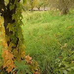02 Jurta Hneda V Jablecnem Sadu Οργανωμένο κάμπινγκ