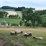 02 Jurta Hneda V Jablecnem Sadu * Chotetice