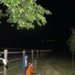 02 Jurta Hneda V Jablecnem Sadu *