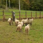 02 Jurta Hnědá V Jablečném Sadu *
