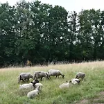 02 Jurta Hnědá V Jablečném Sadu *