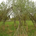 02 Jurta Hneda V Jablecnem Sadu Luksusowy namiot