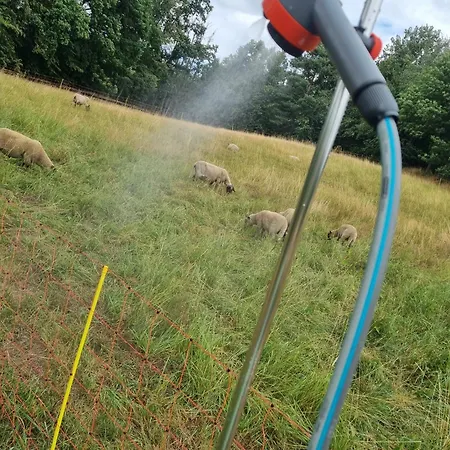 Luxusní stan 02 Jurta Hnědá V Jablečném Sadu *