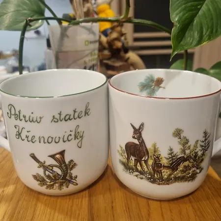 Luxusní stan 02 Jurta Hnědá V Jablečném Sadu