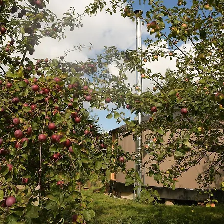 Luxusní stan 02 Jurta Hnědá V Jablečném Sadu