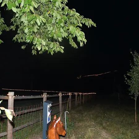 02 Jurta Hnědá V Jablečném Sadu *