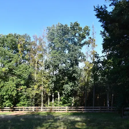 02 Jurta Hnědá V Jablečném Sadu Luxusní stan