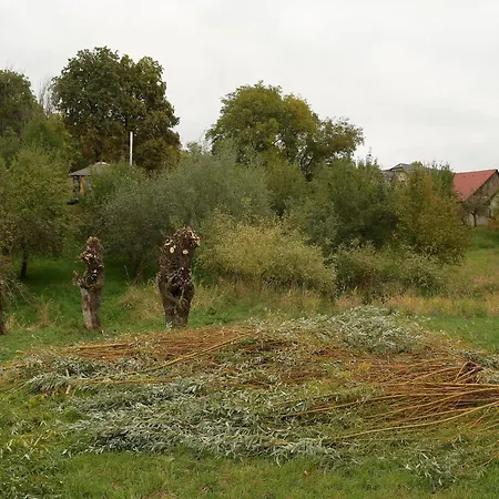 Luxuszelt 02 Jurta Hneda V Jablecnem Sadu