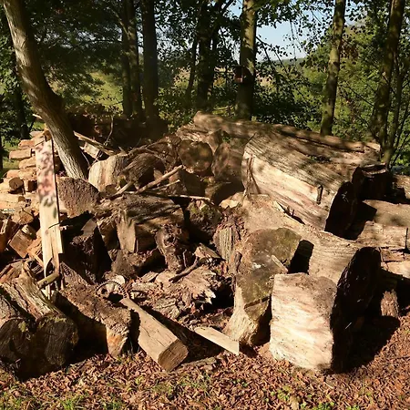 Luxusní stan 02 Jurta Hnědá V Jablečném Sadu Chotetice