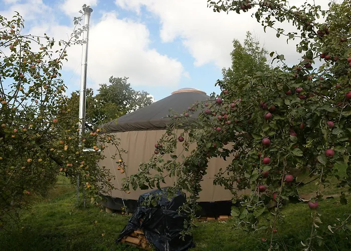 02 Jurta Hnědá V Jablečném Sadu * Chotetice