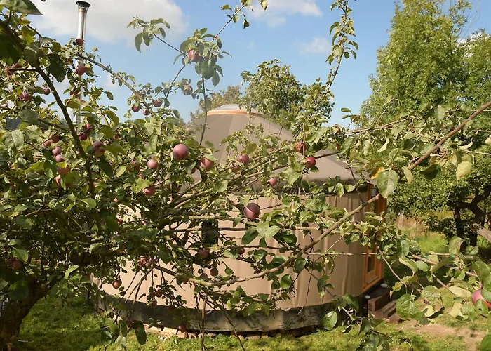 02 Jurta Hnědá V Jablečném Sadu Luxusní stan Chotetice