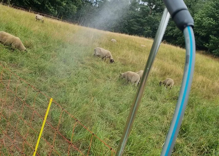 Luxusní stan 02 Jurta Hnědá V Jablečném Sadu *