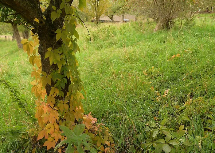 02 Jurta Hnědá V Jablečném Sadu Luxusní stan