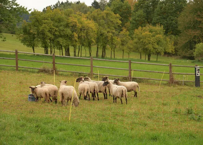 Luxusní stan 02 Jurta Hnědá V Jablečném Sadu *
